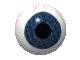 eyeball